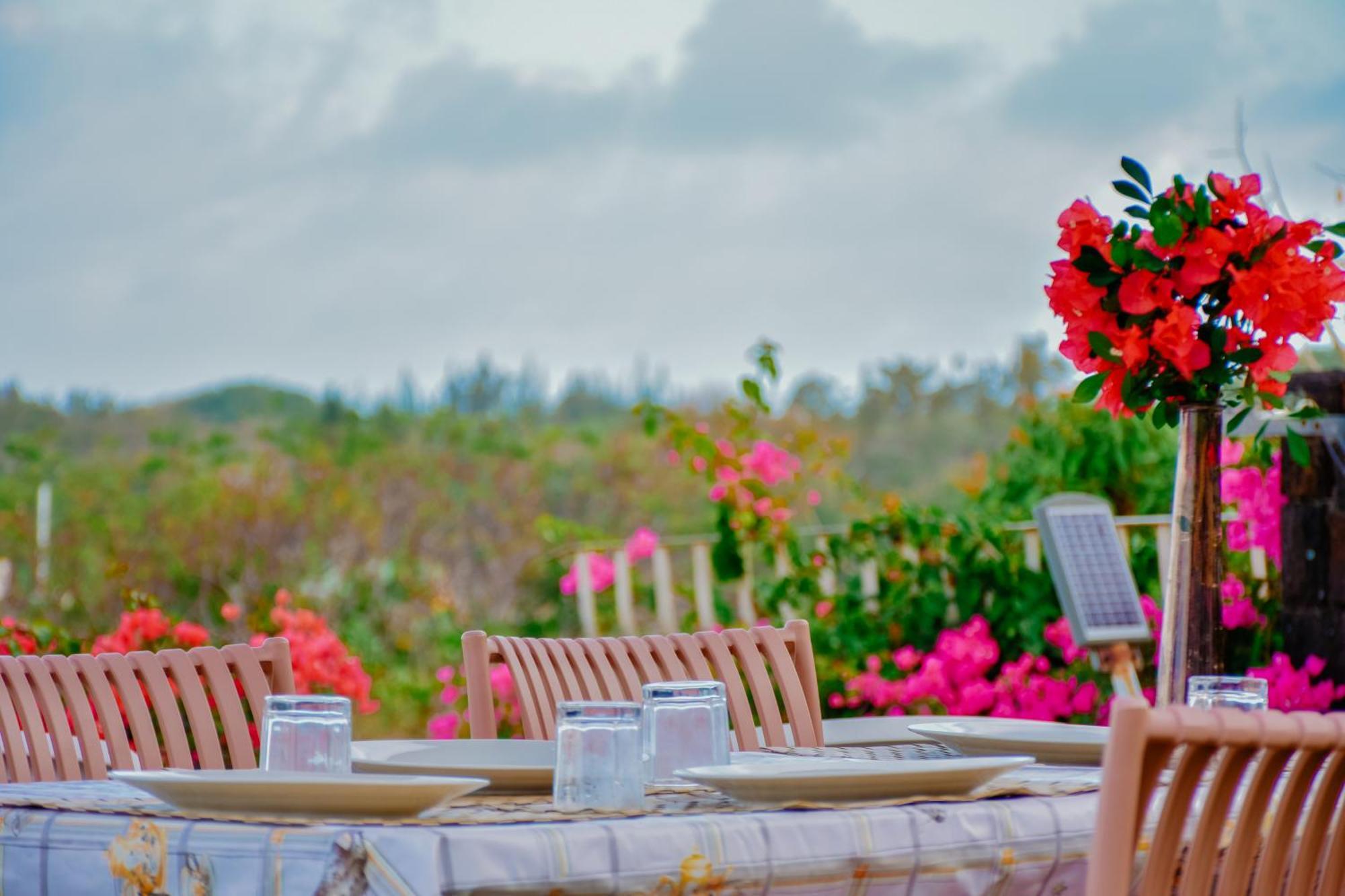 Boutique Villa On The Rocks With Stunning Sea Views, Infinity Pool & Private Sea 트루 도 두스 외부 사진